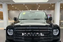 HAVAL, H9