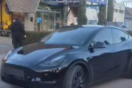 Tesla, Y performance