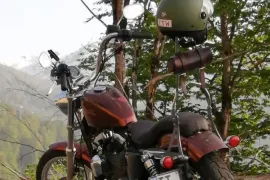 Harley-Davidson, Sportster 1200