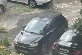 Peugeot, 206