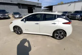 Nissan, Leaf