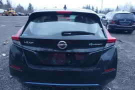 Nissan, Leaf