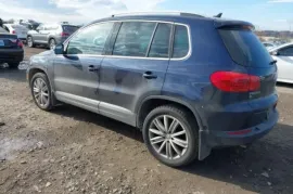 Volkswagen, Tiguan