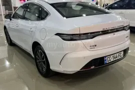 BYD, другой