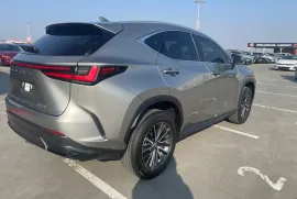 Lexus, NX, NX 200