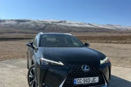 Lexus, UX series, UX 200