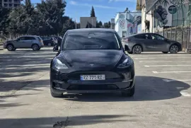 Tesla, Y performance