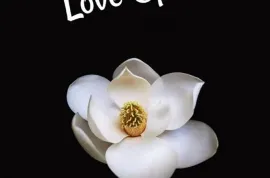 Gay And Lesbian Love Spell In Tsavkisi In Tbilisi, Georgia