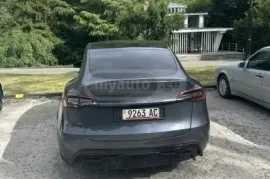 Tesla, Model Y