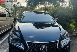 Lexus, NX, NX 300