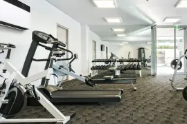 ავტონაწილები, სხვა