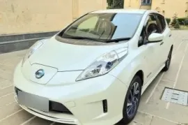 Nissan, Leaf