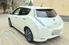 Nissan, Leaf