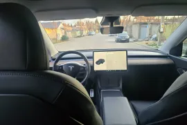 Tesla, Y performance