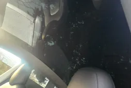 Tesla, Y performance