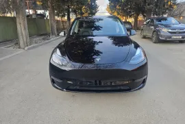 Tesla, Y performance