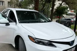 Toyota, Camry