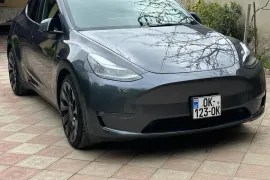 Tesla, Y performance
