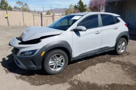 Hyundai, Kona