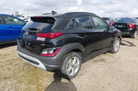 Hyundai, Kona