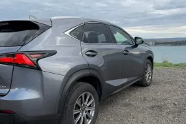 Lexus, NX, NX 300