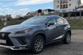 Lexus, NX, NX 300