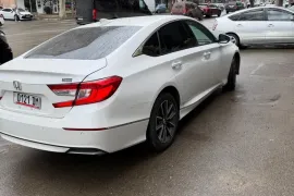 Honda, Accord
