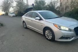 Hyundai, Sonata