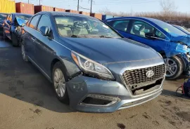 Hyundai, Sonata