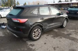 Ford, Escape