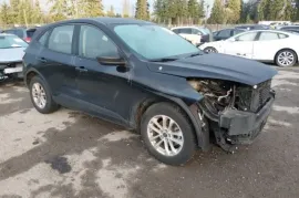 Ford, Escape