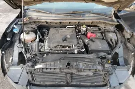 Ford, Escape