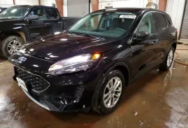 Ford, Escape