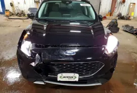 Ford, Escape