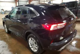 Ford, Escape