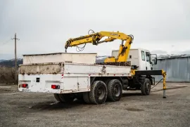 Ford, Cargo