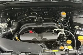 Subaru, Forester
