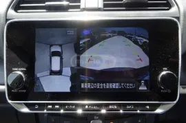 Nissan, Leaf