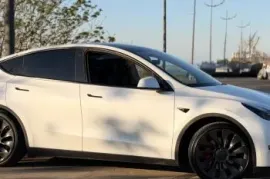 Tesla, Model Y