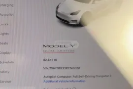 Tesla, Model Y