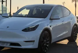 Tesla, Model Y