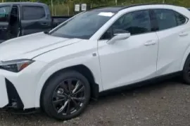 Lexus , UX series, UX250h