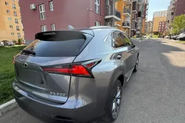 Lexus, NX, NX 300