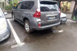 Lexus, Другое
