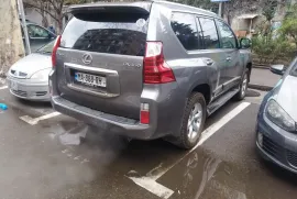 Lexus, Другое