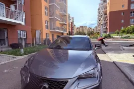 Lexus , NX, NX 300