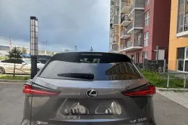 Lexus , NX, NX 300