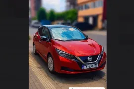 Nissan, Leaf