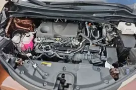 Toyota, Sienna