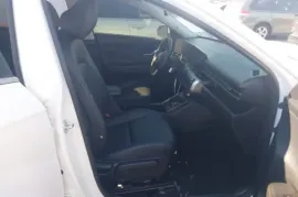 Hyundai, Kona